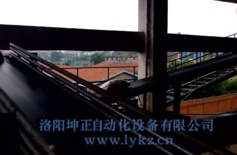 橋式集裝箱裝車(chē)機(jī)